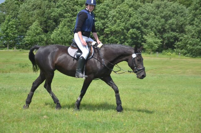 reitertag 2013 209